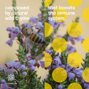 Symbeeosis Greek Organic Thyme Honey 280g Food